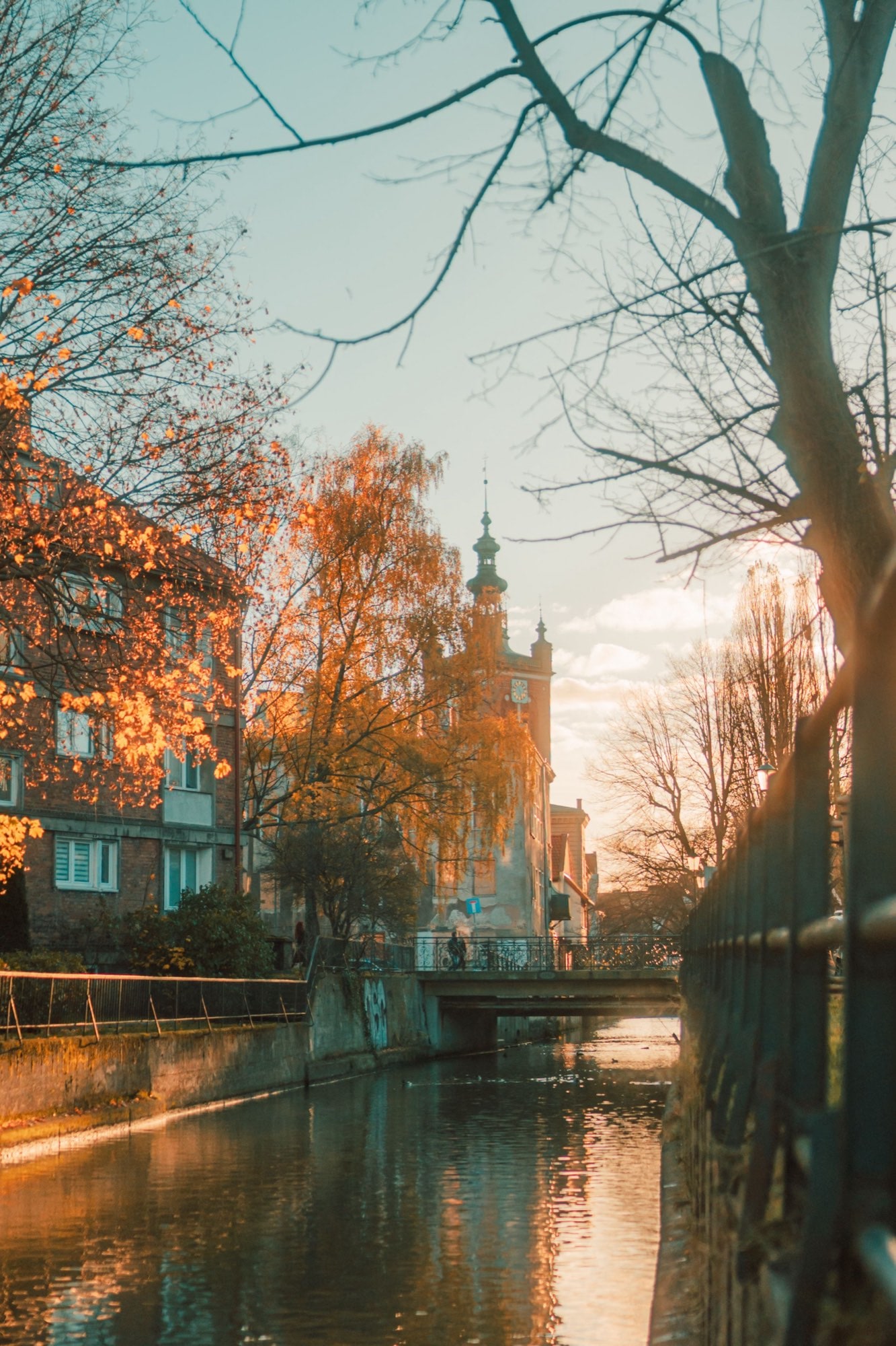 Golden autumn along a Gdańsk canal, the water still between the banks and the leaves turning.