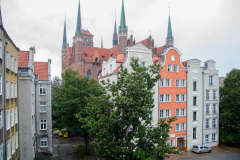 DSC_5384