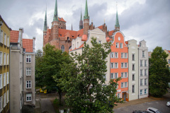 DSC_5435