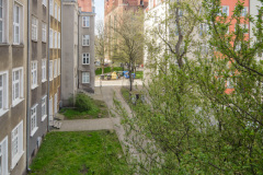 DSC_9238