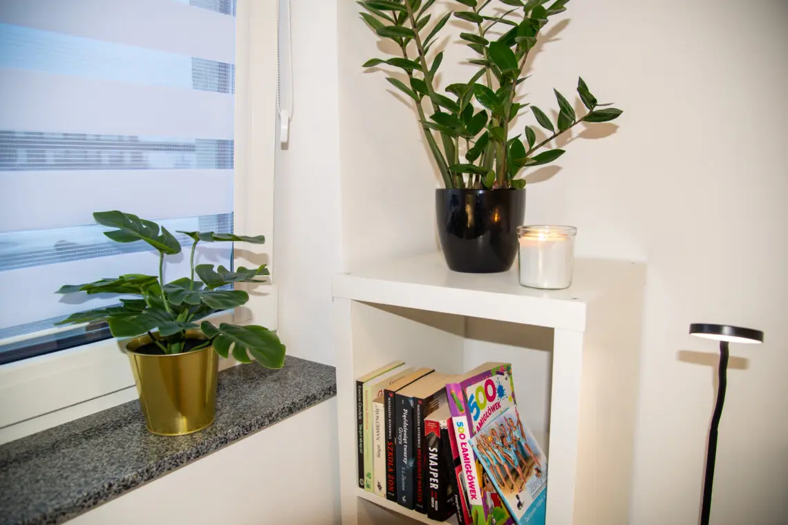 0cd8b135 286c 41dd 8db5 82f81b81d7ee