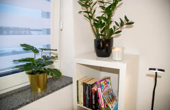 0cd8b135 286c 41dd 8db5 82f81b81d7ee