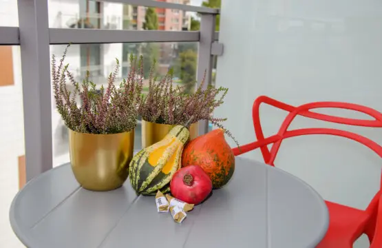 43e043e4 87df 4534 92c3 ab2b46c95392