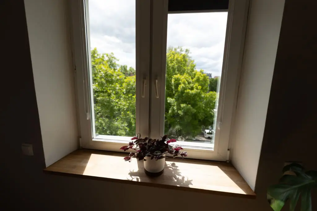 4867b2ce f80c 4455 bb59 ccd2501fc424