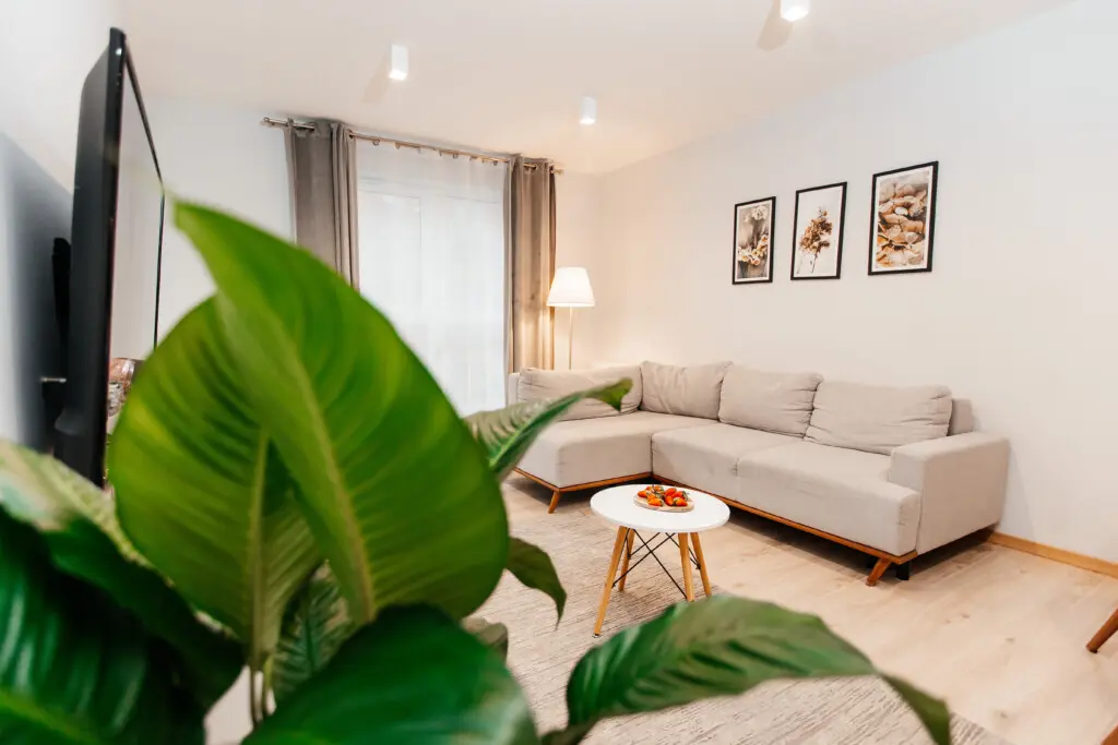 57d05200 e486 4f45 8ed1 ef8eb535b543