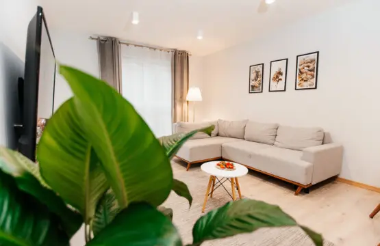 57d05200 e486 4f45 8ed1 ef8eb535b543