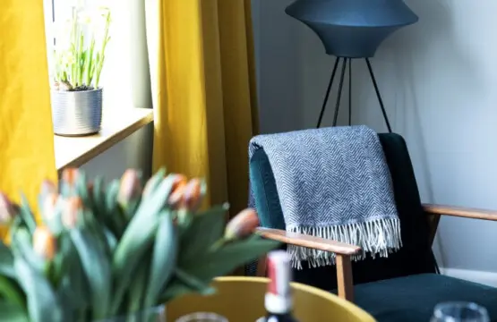 819d5500 7a3b 4e5c a747 6b9f86221278