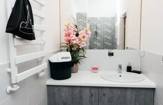 8e29fae9 3c10 4ede b778 be6d5ca124cc