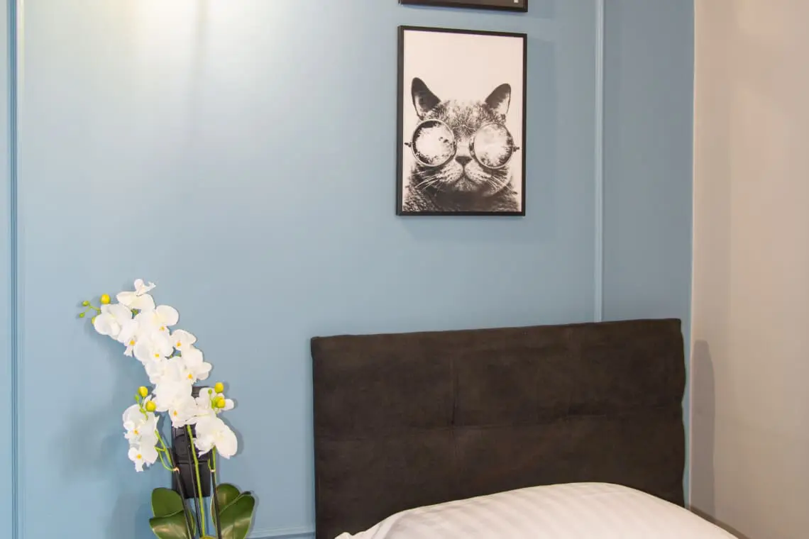 950239c5 eece 4891 88bc ba4c11a944bd