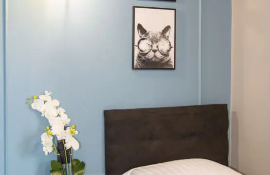 950239c5 eece 4891 88bc ba4c11a944bd