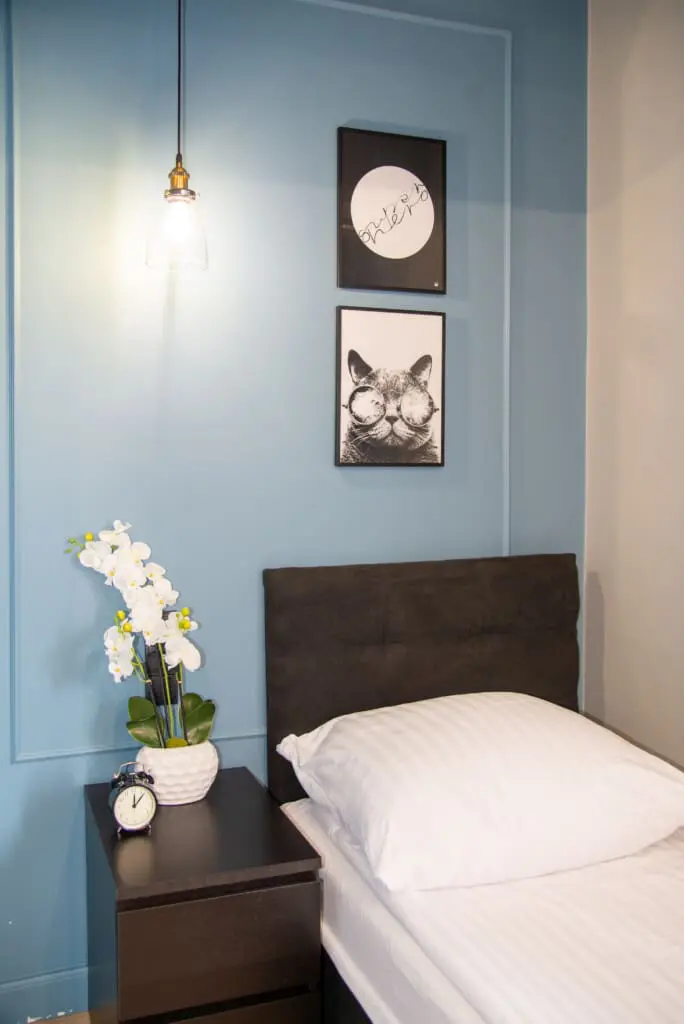 950239c5 eece 4891 88bc ba4c11a944bd