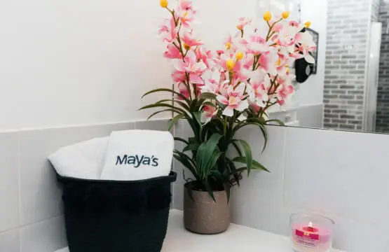 959b4a5e 48e0 459b ba79 005f403dbc2f