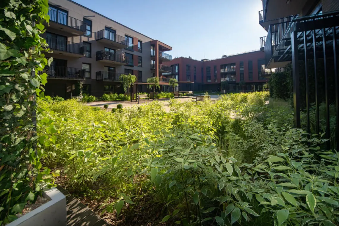 9bb36422 10dd 4dfc a1f4 3f70951262bb