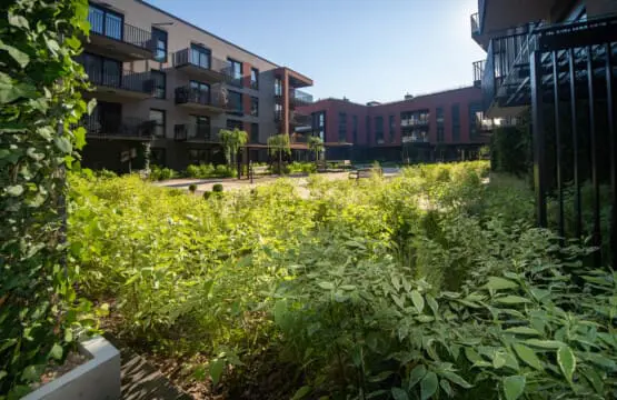 9bb36422 10dd 4dfc a1f4 3f70951262bb