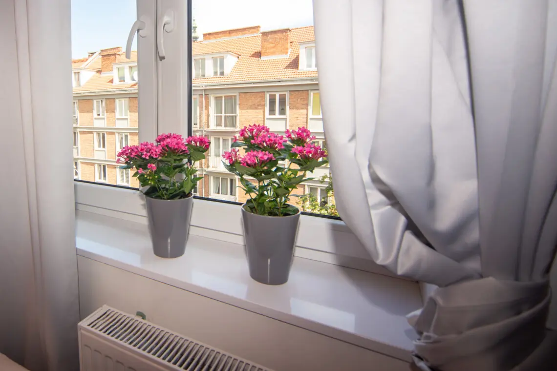 c67b9441 8edb 4f08 b8cb a61ba555419b