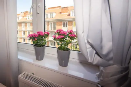 c67b9441 8edb 4f08 b8cb a61ba555419b