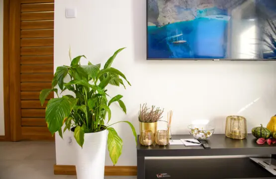 c9a8c529 b4a9 41ee 8536 ea14d3432ef9