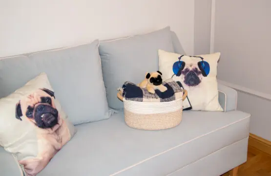 dd6bdb82 2158 4094 9040 28695db64a4d