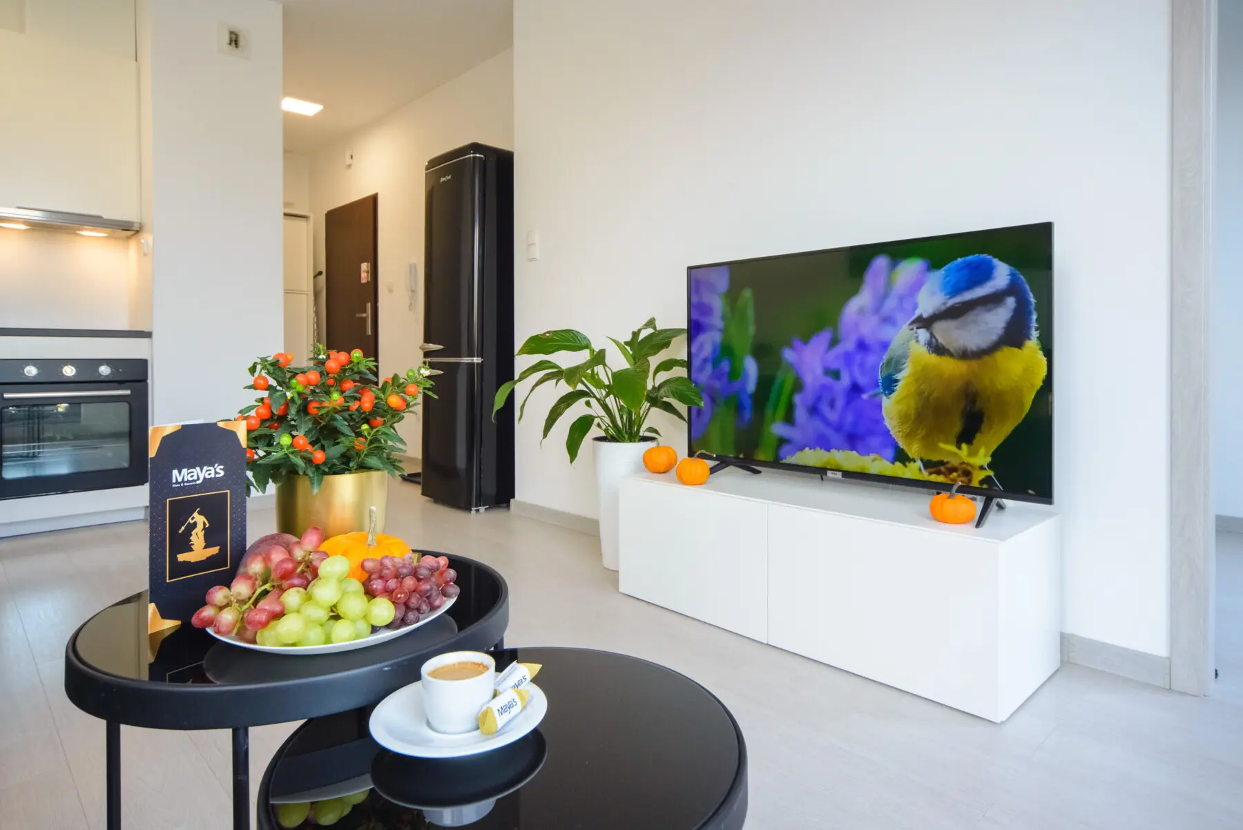 05d56cb2 84ca 469f 8b3b 9f75e76fa8e4