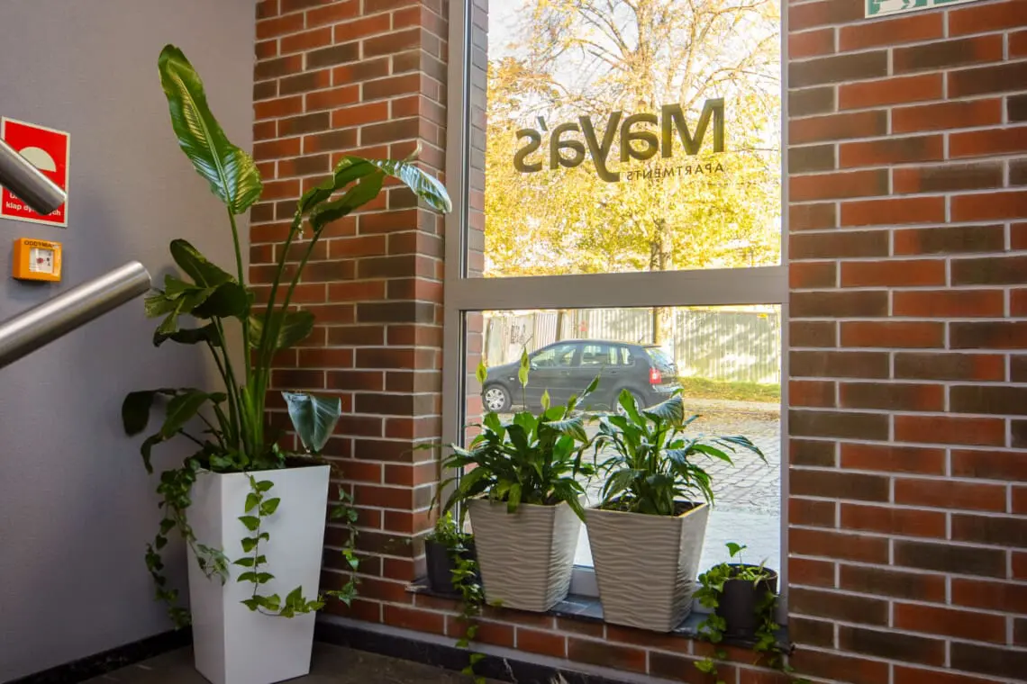 1e066458 bb74 41fd 9fbb 617119a5bc16