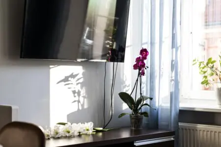 28272e67 a79d 45ba a095 7fe27bd76494