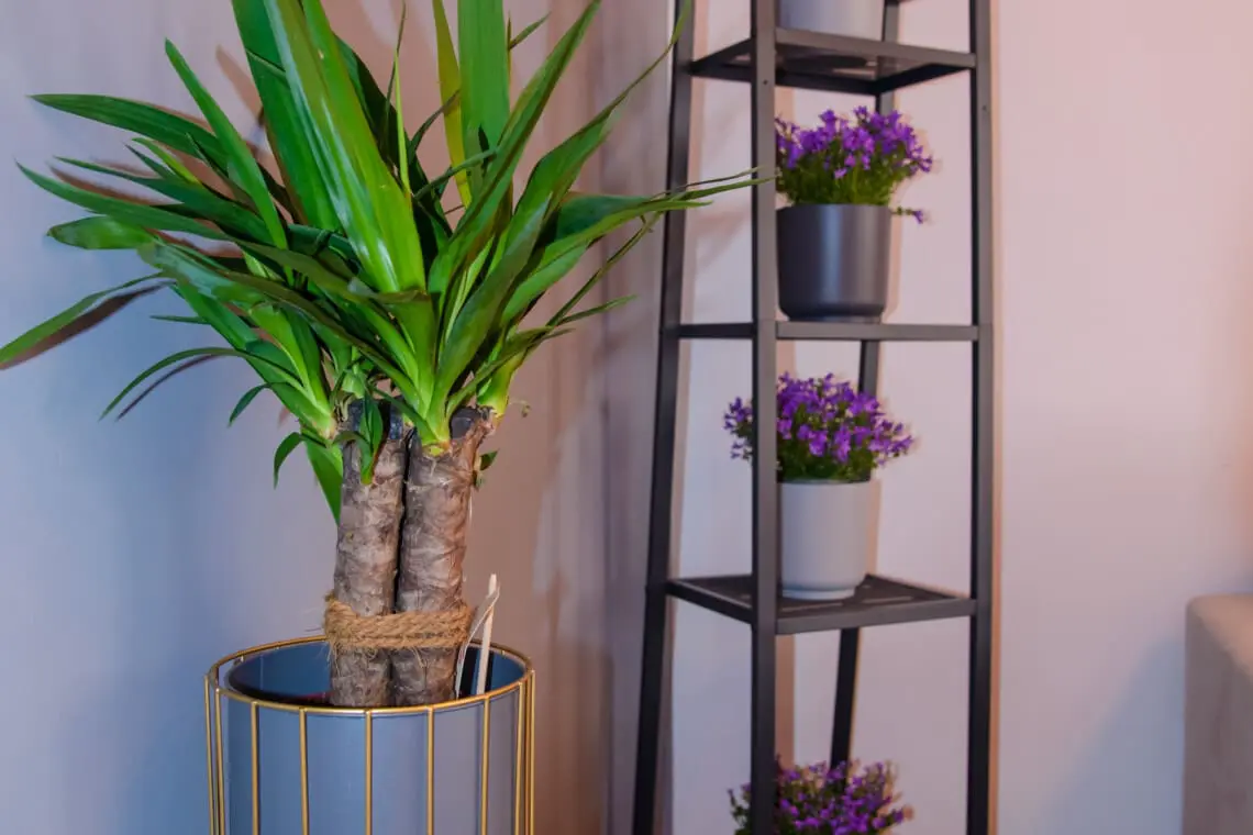 3a5f50a1 9cb4 4405 826d 5fcf51c5ad06