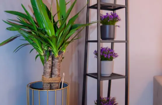 3a5f50a1 9cb4 4405 826d 5fcf51c5ad06