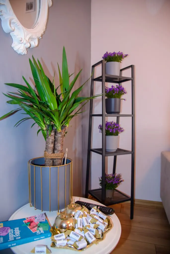 3a5f50a1 9cb4 4405 826d 5fcf51c5ad06