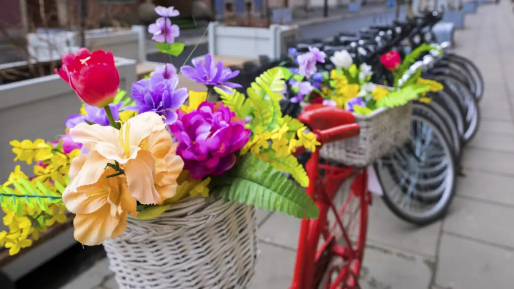 45c75ec7 b11d 4279 94ad a6f193e47805