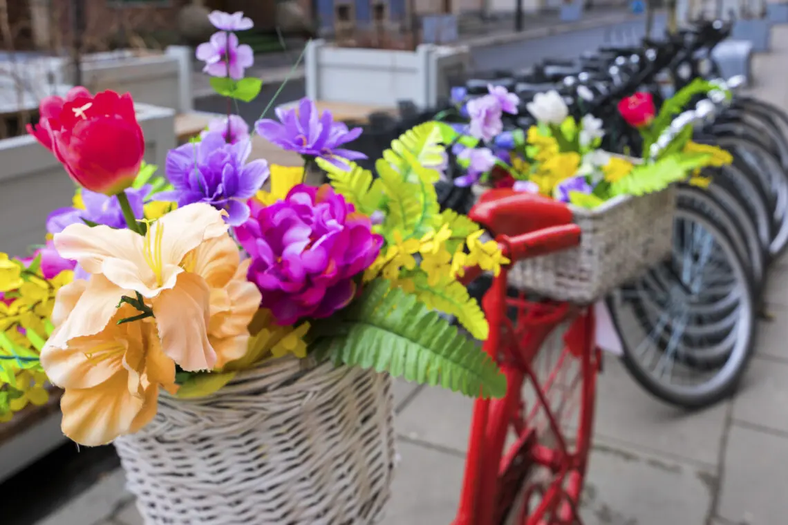 45c75ec7 b11d 4279 94ad a6f193e47805