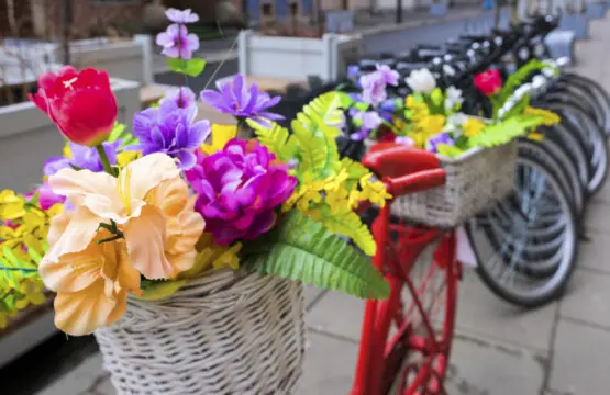 45c75ec7 b11d 4279 94ad a6f193e47805