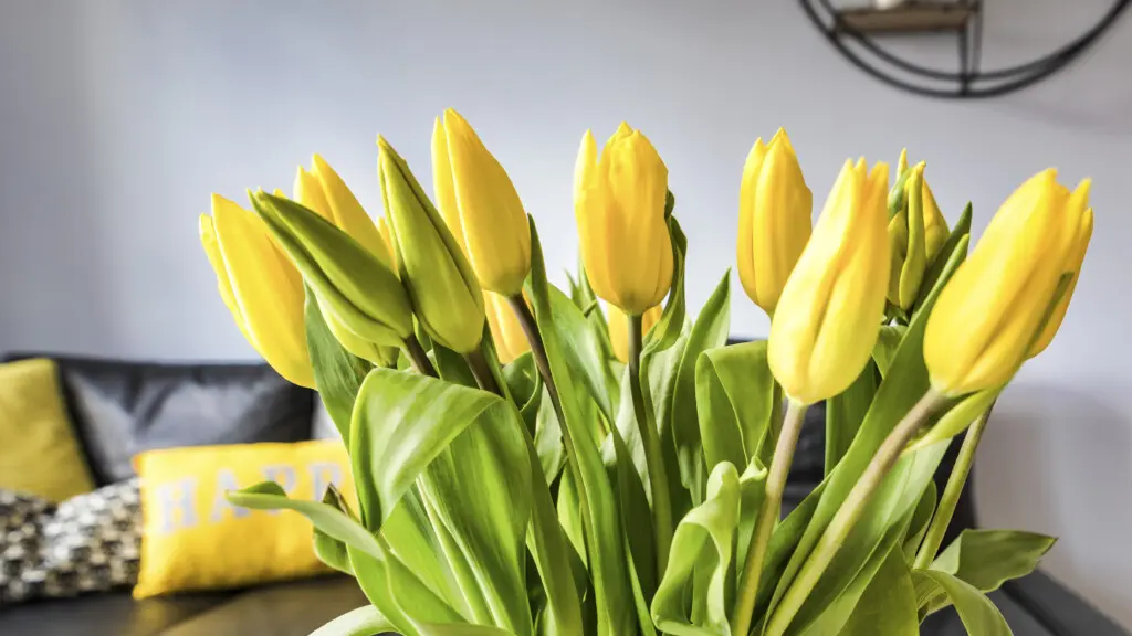 4964fc7e ec91 4b13 9b1a 96687a878aab