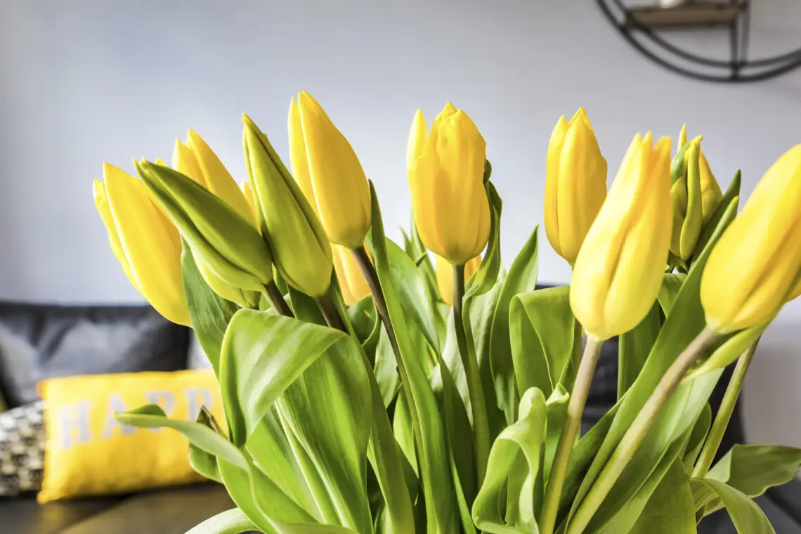 4964fc7e ec91 4b13 9b1a 96687a878aab