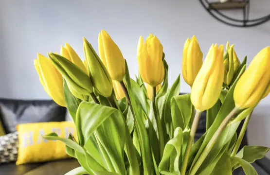 4964fc7e ec91 4b13 9b1a 96687a878aab