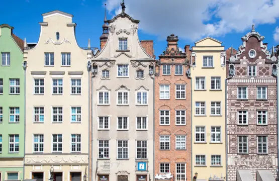 52e26809 1468 48d2 a65a f2e60dce6692