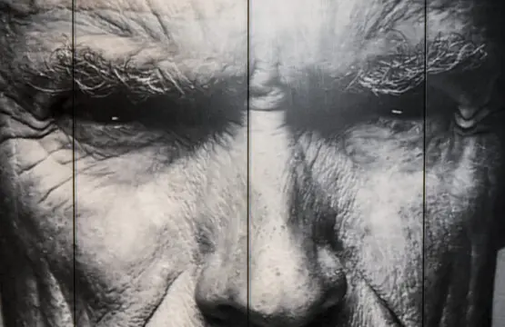 59d9eecd aea0 43d8 9b19 8b7973afe56c