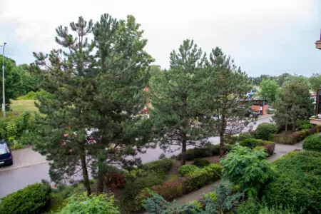 61eed29a 8c99 4476 93f8 615128e9d080