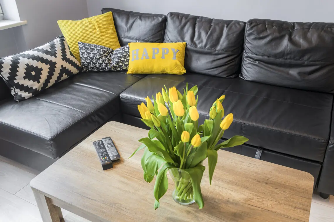 65231668 7b23 4742 8e48 da4d88ee4c49