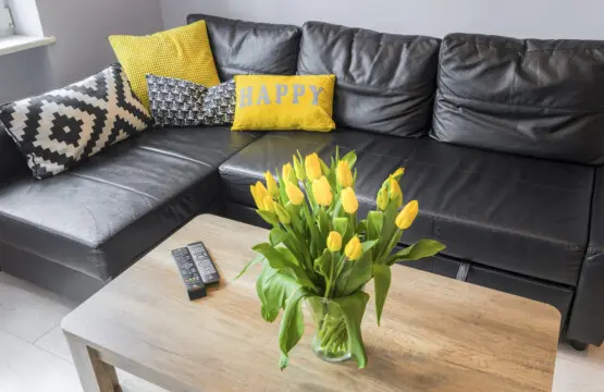 65231668 7b23 4742 8e48 da4d88ee4c49