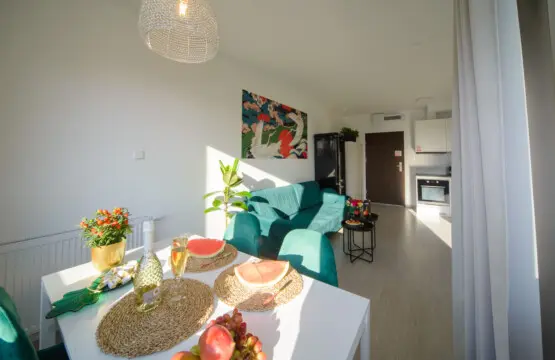 8b6cb2b6 fa27 44e5 8d9d a21c355c5afc