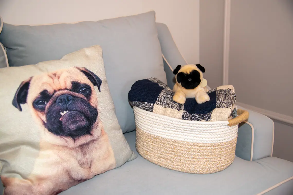 996caf75 1f9f 4ebe bd37 e94ea53d8918