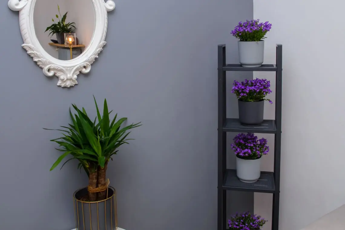 a262039c d0a3 481f 951b aec48baaa001