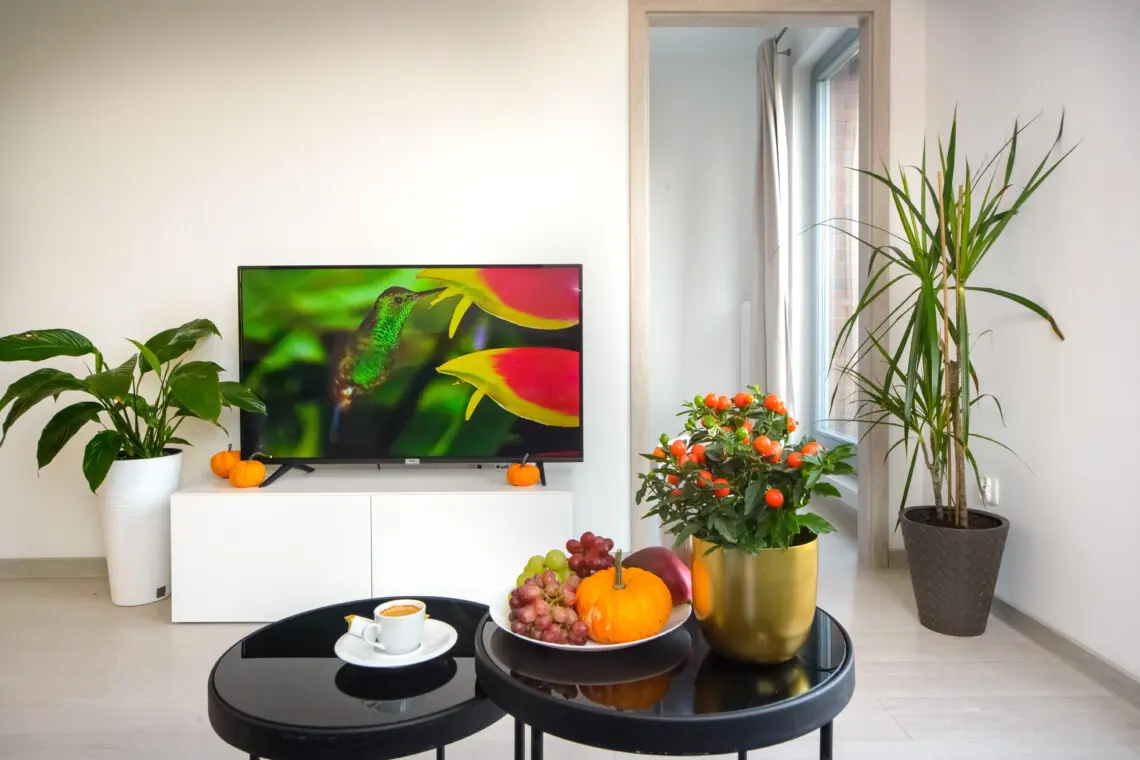 afd03bfa 9386 4589 abdc 4bba64660a73