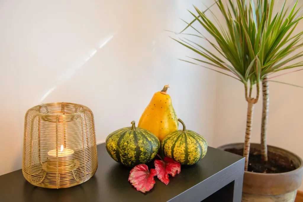 b3f9d20c 161b 41cb b416 6b2df0d13407