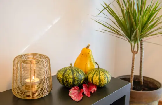 b3f9d20c 161b 41cb b416 6b2df0d13407