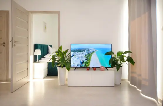 ce2a6365 ce91 4331 93f7 7fab238442f2