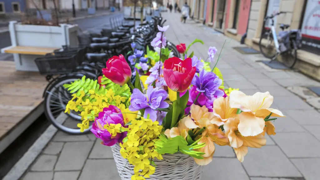 d0aaa9f9 a7a8 4c68 9e84 5f3db40cb76c