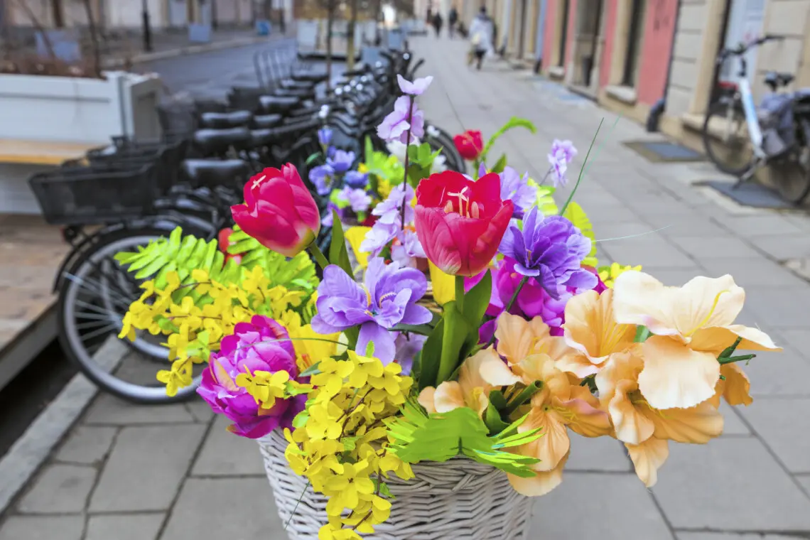 d0aaa9f9 a7a8 4c68 9e84 5f3db40cb76c