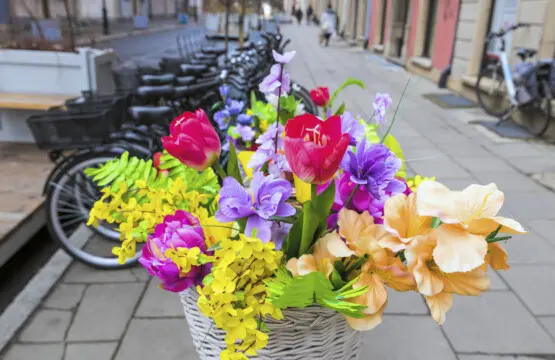 d0aaa9f9 a7a8 4c68 9e84 5f3db40cb76c