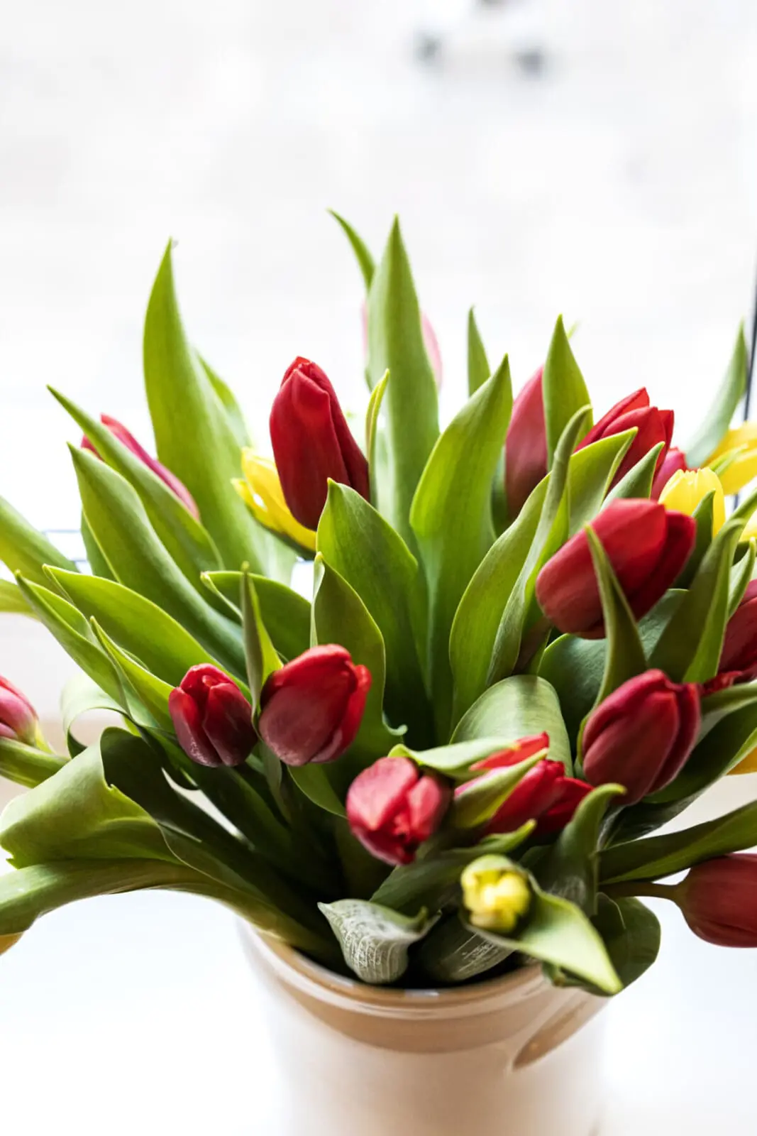 d1e535a1 94eb 4d6c 8fc0 a119ec2a251a